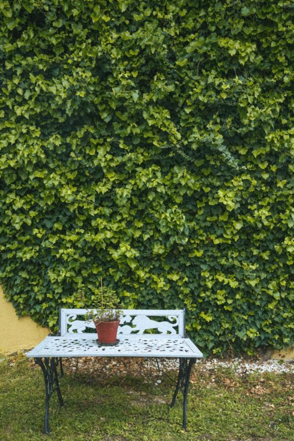 Abelia Boutique Rooms Τσιλιβί Εξωτερικό φωτογραφία